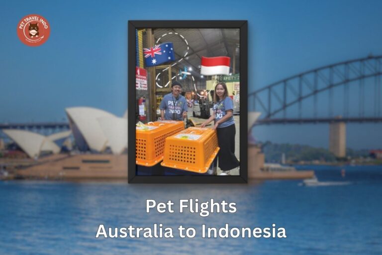 Pet Relocation Australia to Philippines Guide